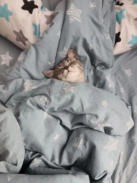 When you're royalty, napping is a full-time job.