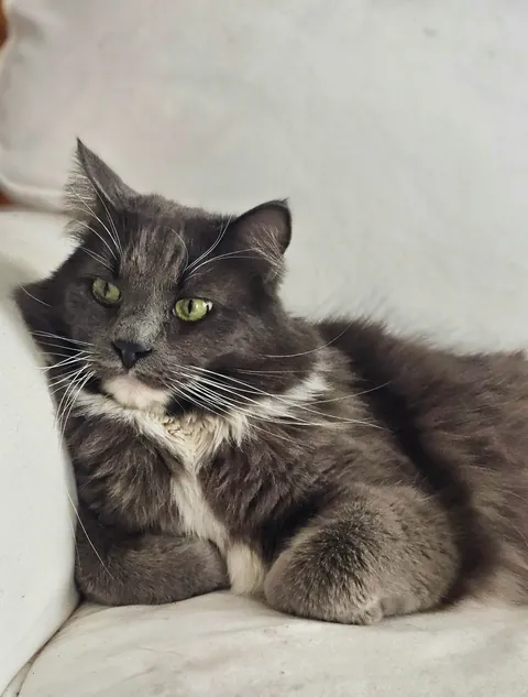 Why is my cat prettier than me?!