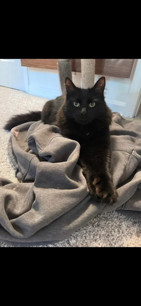 I’m abroad for ten days and I miss himmmmm