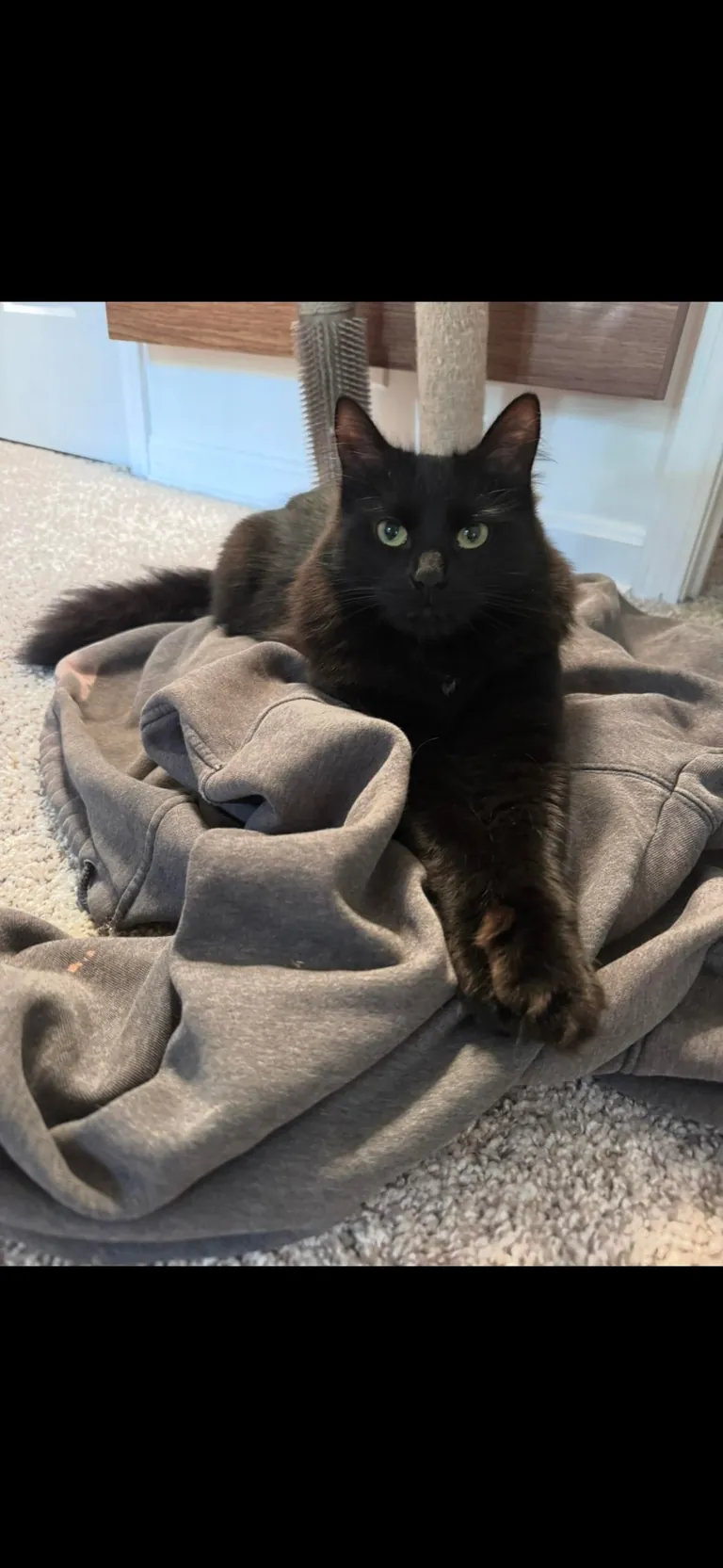 I’m abroad for ten days and I miss himmmmm