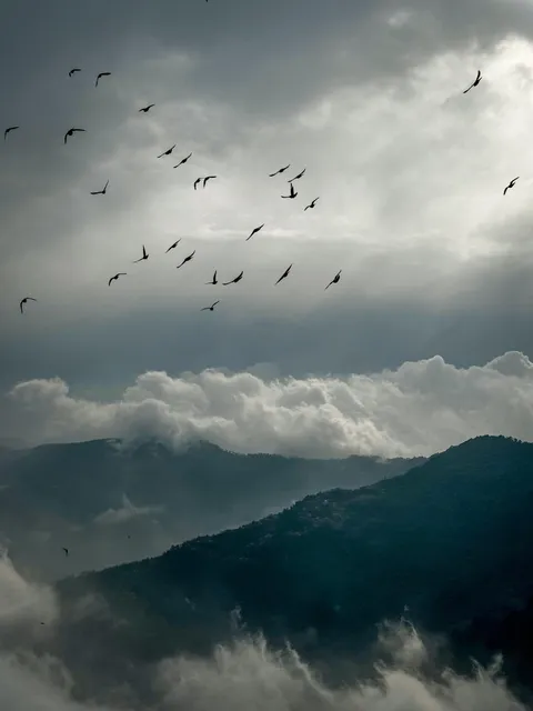 ITAP of birds flying high on the sky of Darjeeling