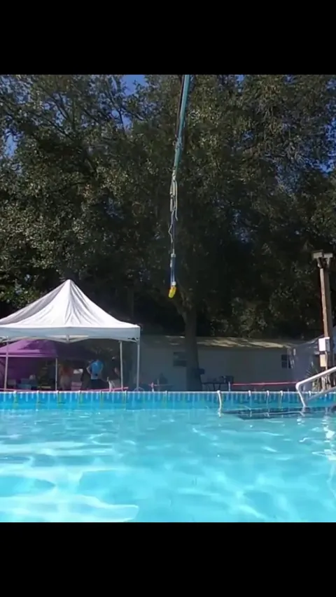 A short story of a gray hound and his pool toy