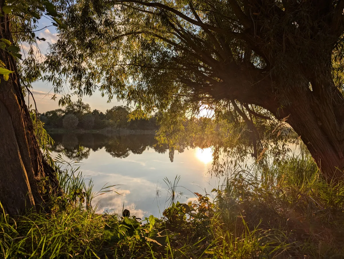 I'm by no means a photographer but I really like this photo