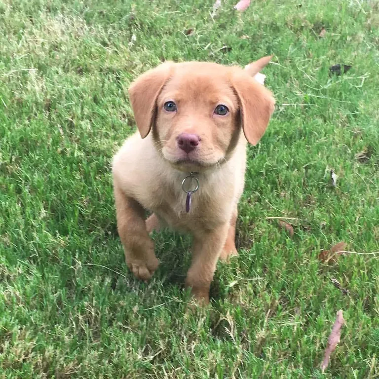 Day he came home… 9 years later