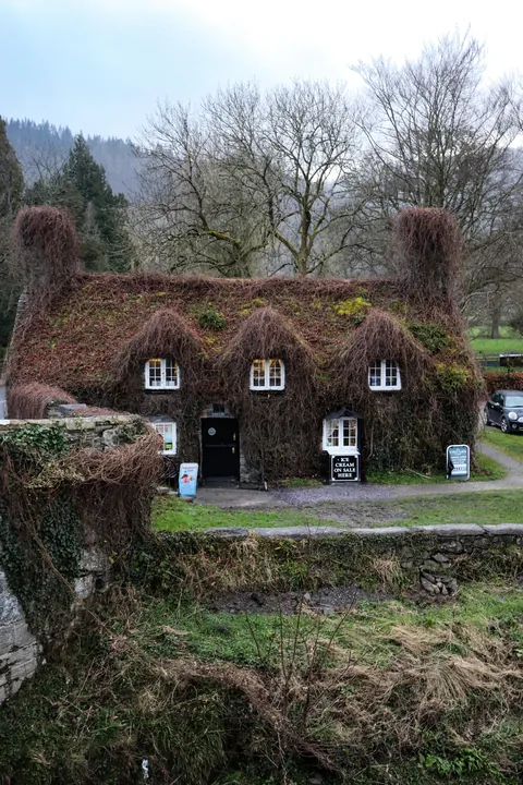 Cozy autumnal Wales 🏴󠁧󠁢󠁷󠁬󠁳󠁿