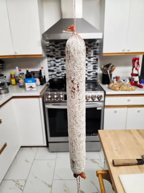 [Homemade] Genoa salami