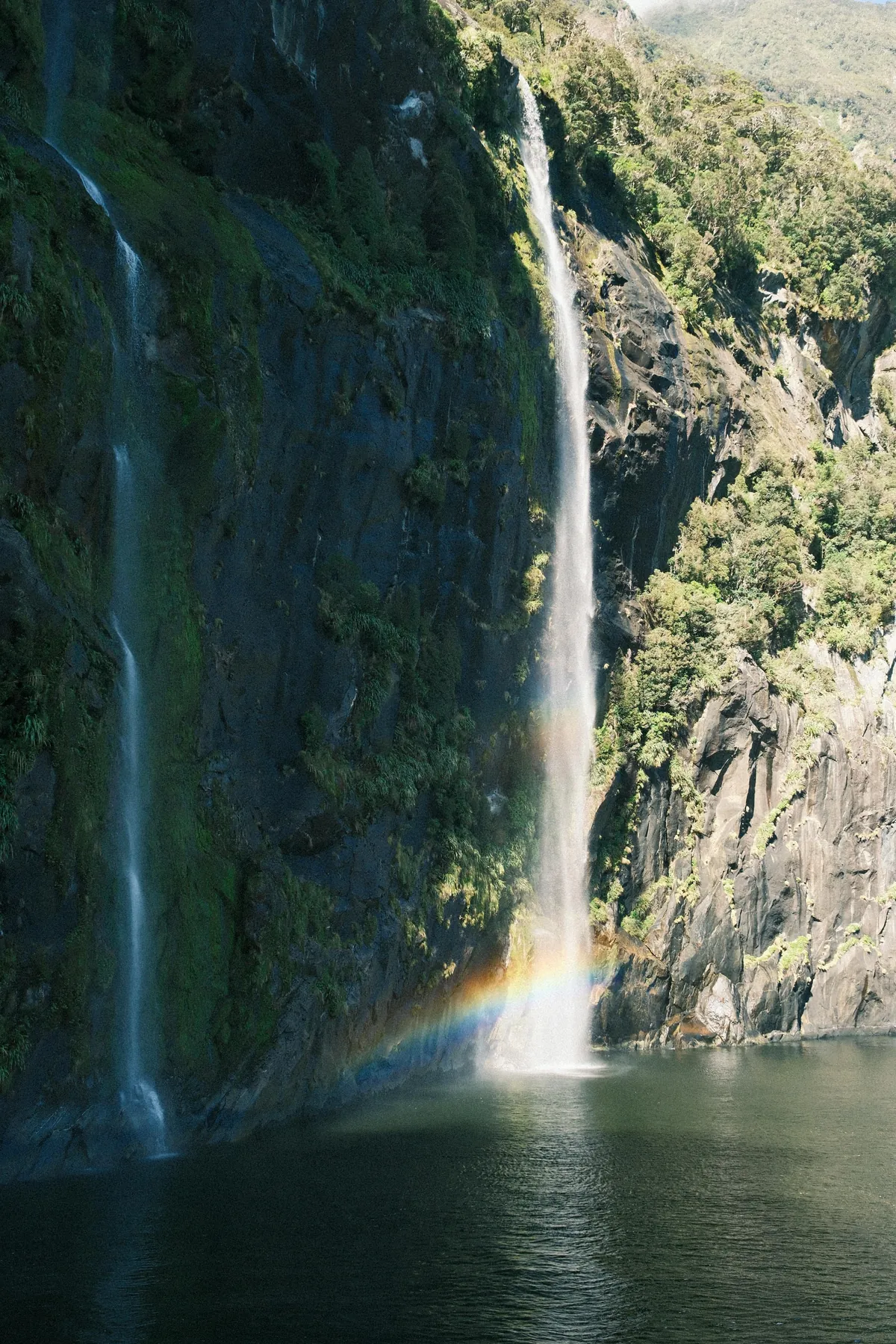 Traveling through New Zealand: Milford and Doubtful Sound
