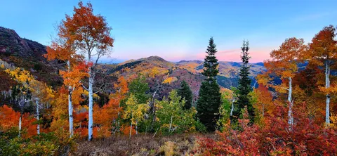 Sunset in Big Cottonwood Canyon Utah [OC] [4000x1848]
