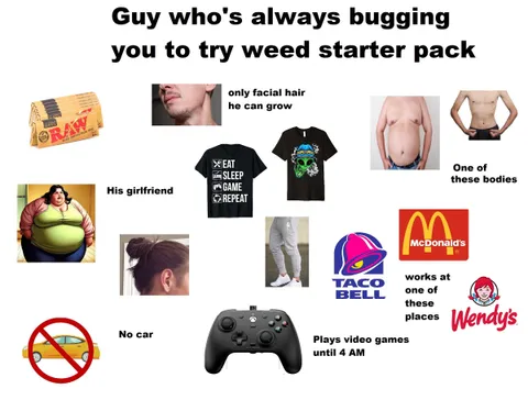 Guy who's always bugging you to try weed starter pack 
