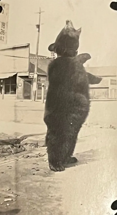 Photos from my great-grandmother’s 1920-1925 scrapbook (Wisconsin and Minnesota)