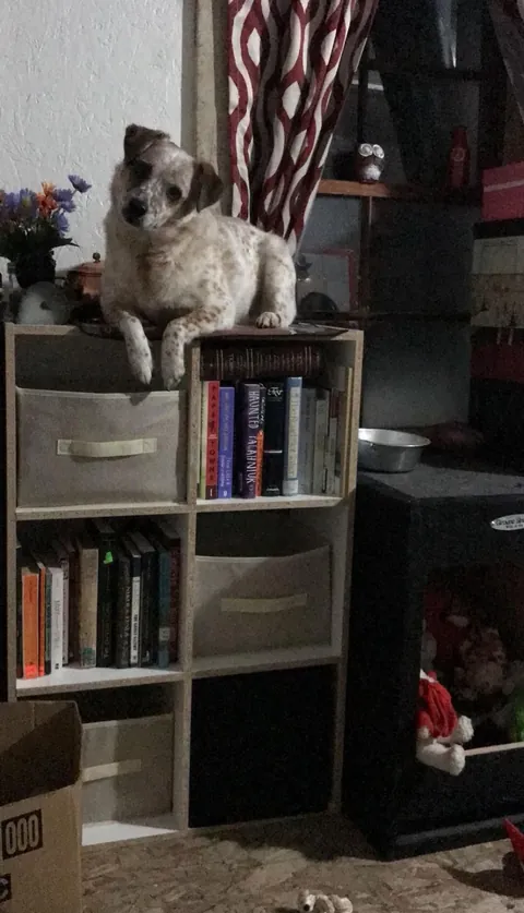 More pictures of Chief being unapologetically himself