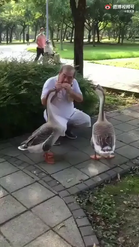 For being great audiences