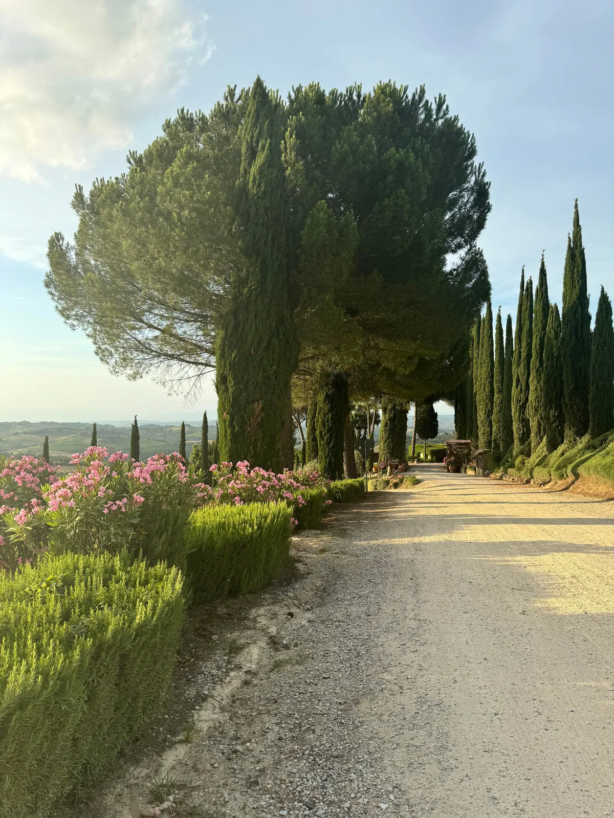 Under the Tuscan Sun ☀️