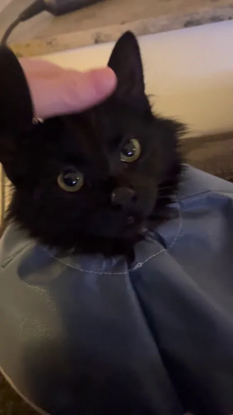 My little angel has had a tough month