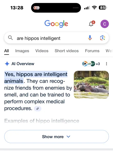 Imagine a hippo as your surgeon! Google AI is ridiculous.
