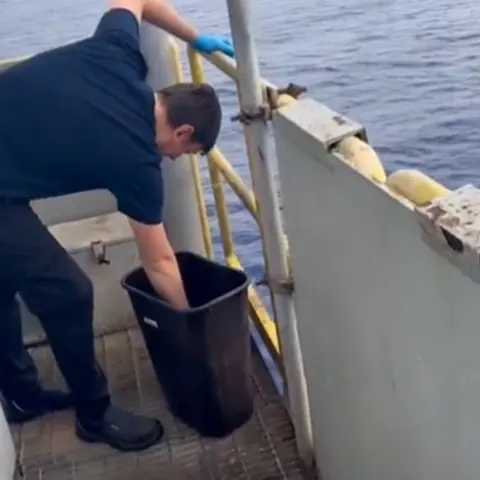 This is what happens when you drop meat from an oil rig