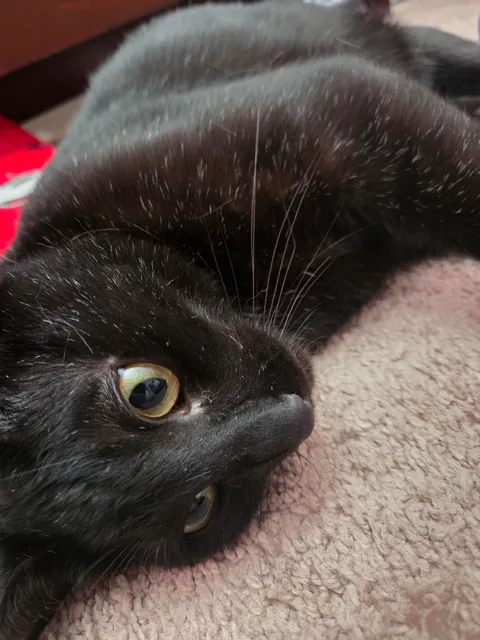 We holdin' hands &lt;3