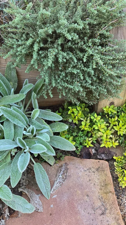 How it started / How it's going