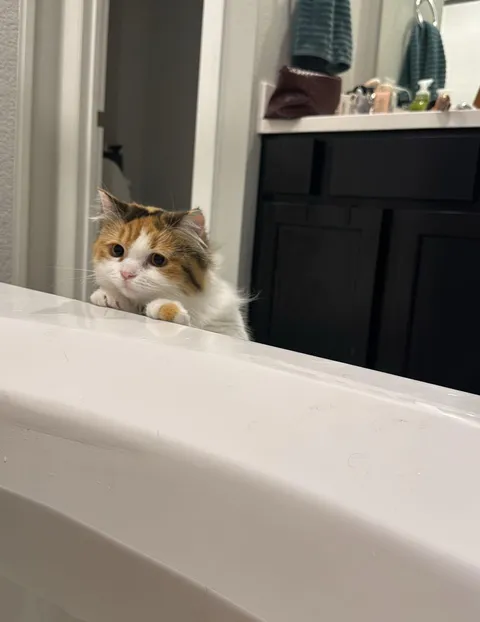 She’s worried for her human