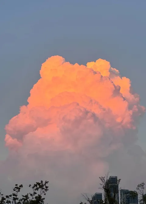 Cloud bear spotted! ☁️🐻