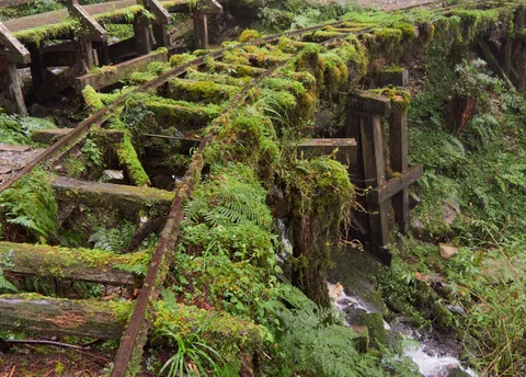Abandoned tracks reclaimed by a mountain rainforest, Mt. Taiping, Taiwan [OC]