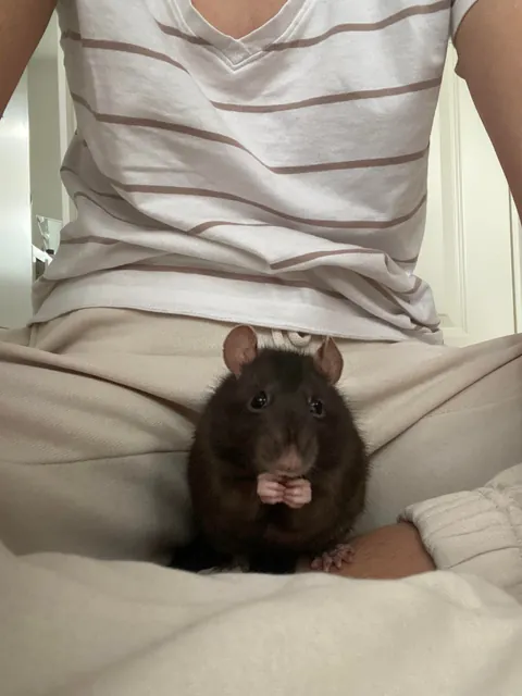 Why does she always bring food to eat next to me or on me?🥹