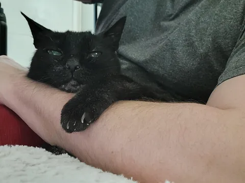 Tomorrow morning, I'll say goodbye to my friend of nearly 20 years 😢