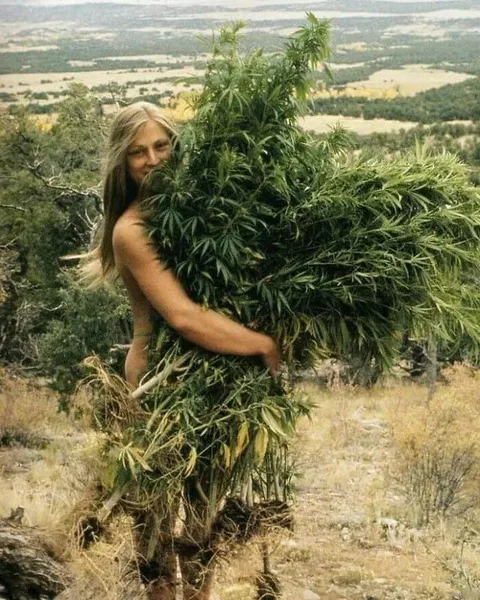 A 'bushy' lady of the 1970s