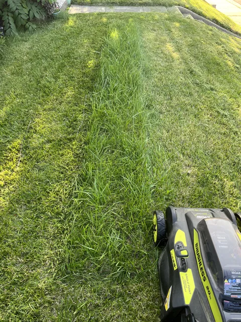 Feeling cute. Might leave a landing strip. Idk.