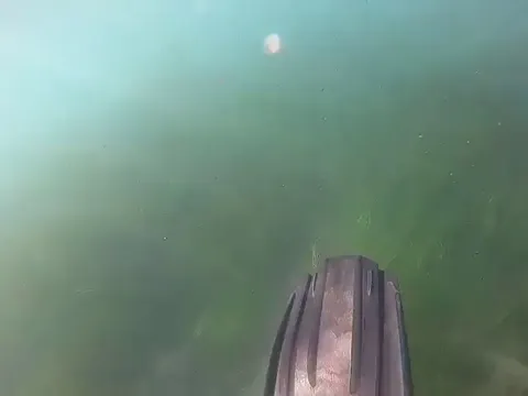 Always have your gear checked by a pro