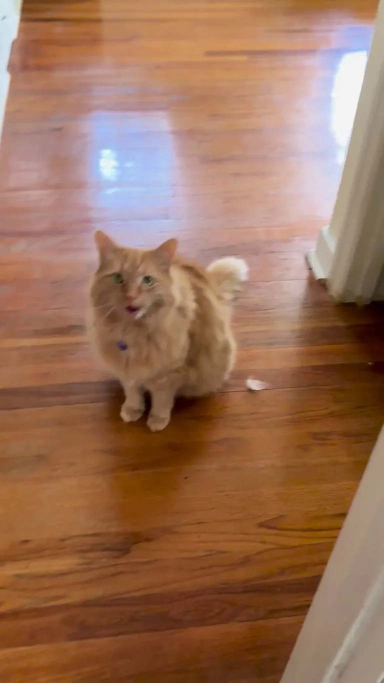 Mama, you’re home! Let me tell you about my day!