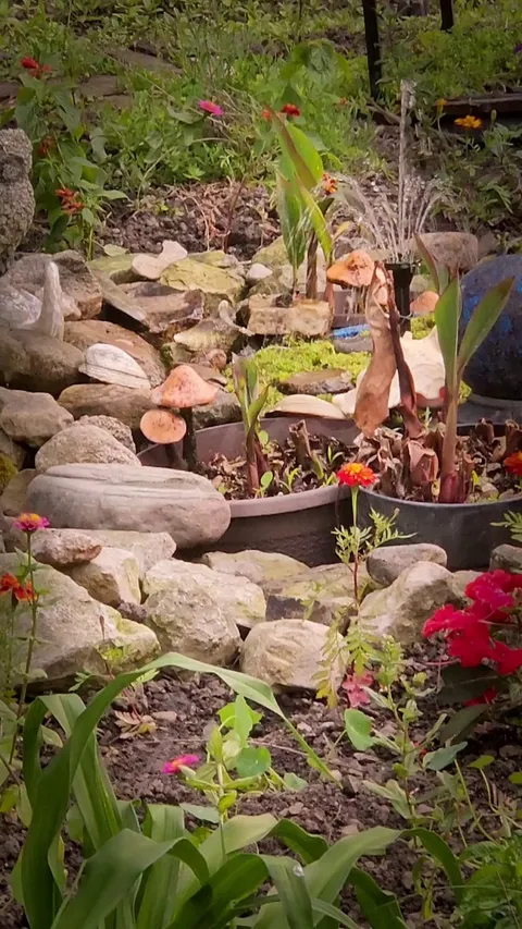 Just planted my garden yesterday and now my first hummingbird in my fountain. Going to be a great day