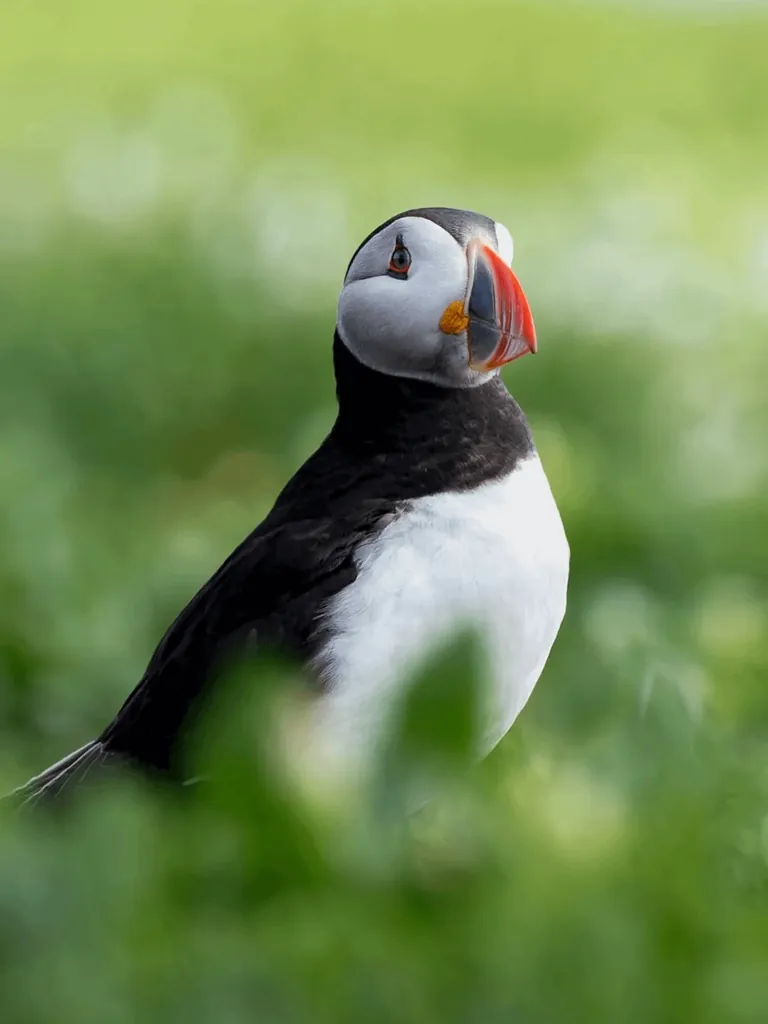 Photographer Shows His POV vs The Photos He Takes.