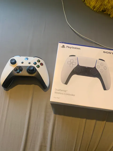Ordered a ps5 controller off eBay, wtf is this