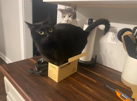 7 years with my Middle Eastern girl