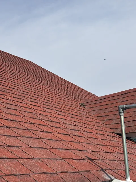 Someone pooped on my roof