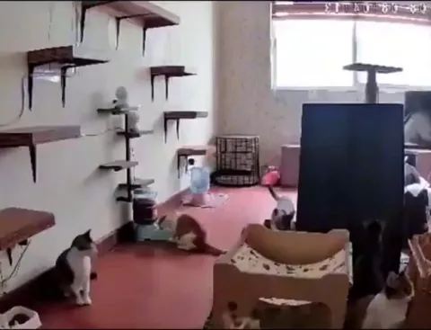 Glad they didn't overreact 😌