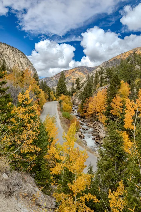 Visited Colorado the last week of September. The Aspen leaves were so beautiful!