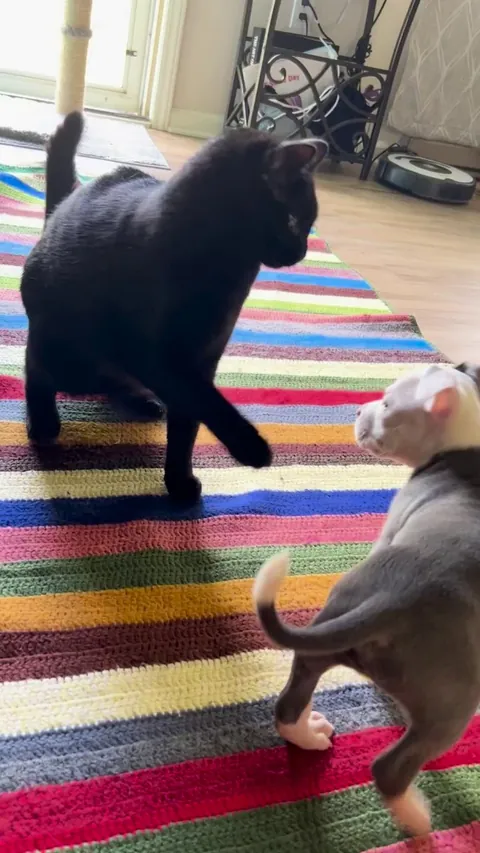 When they first met :)