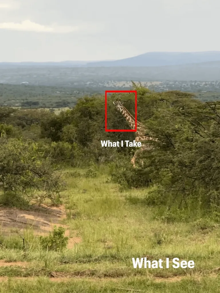 Photographer Shows His POV vs The Photos He Takes.