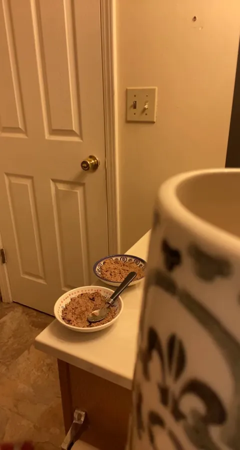 So I prepare my cats food in my bathroom to avoid them nibbling while I’m making it. They are well aware of this. I am a slave.