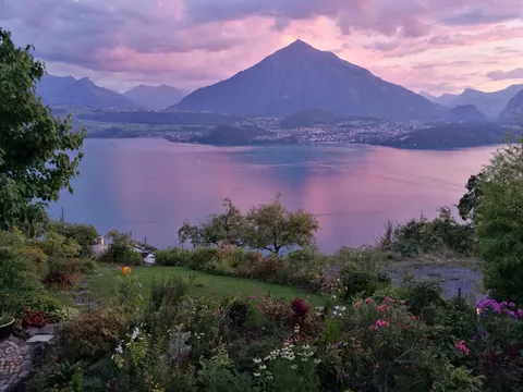 Not mine, but my boyfriend's mother's garden this evening. (Just about 1/5th of it).