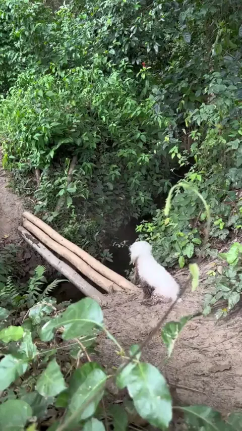 He got dirty, he got clean, and dried all in one adventure.