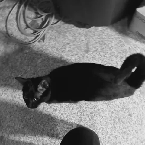 "Mama, please, the uppies..."