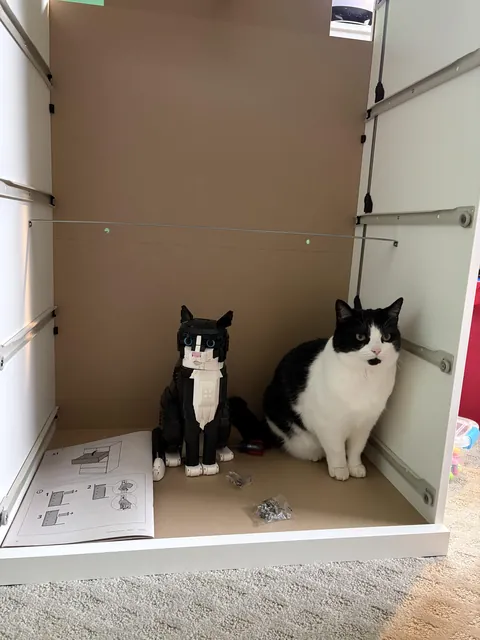 Finally got the photo