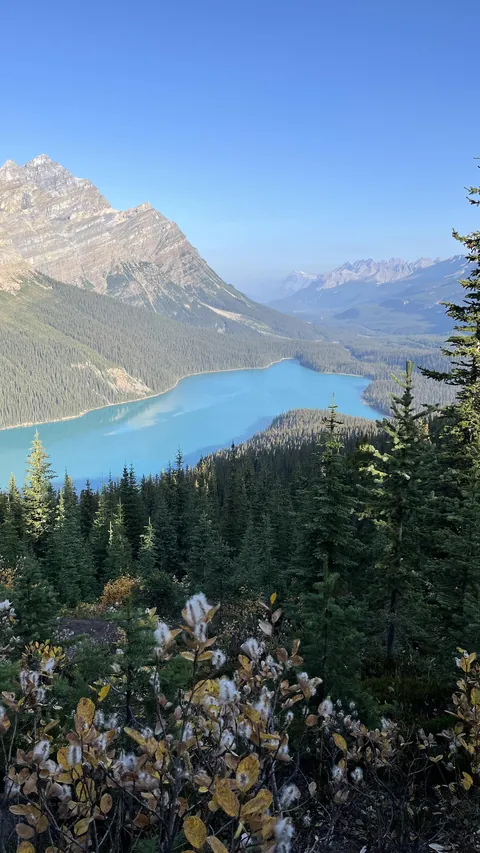Fall at Peyto Lake, Alberta, Canada [OC] [2268x4032]