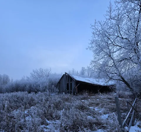Forgot Farm Northern Alberta