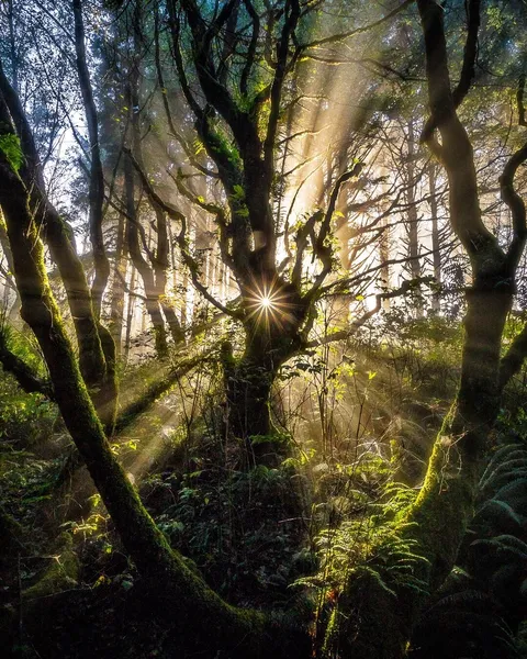 A light pierced through. Cape Perpetua, Oregon, USA. [OC][1080x1350] @NatureProfessor