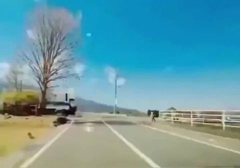 Respect is at a very high level in Japan.

The kids thank the driver for letting them cross the road.