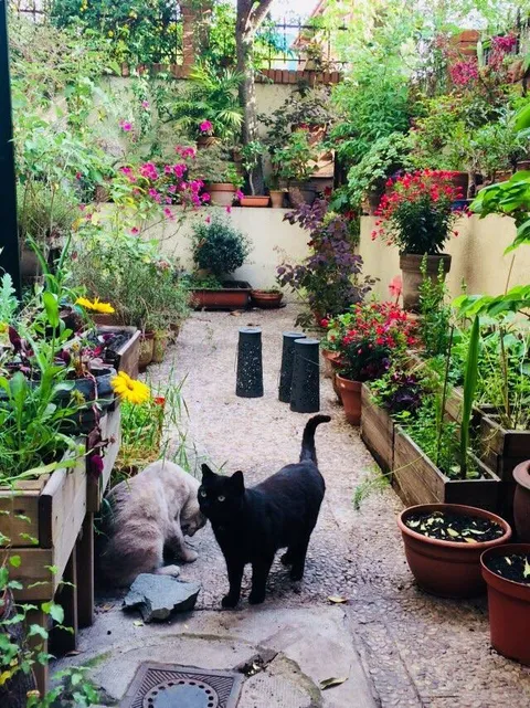 Fauna &amp; flora from my backyard